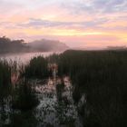 Good Morning, Surry River