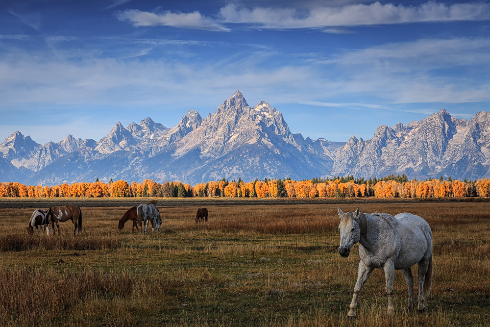 Good Morning, Tetons