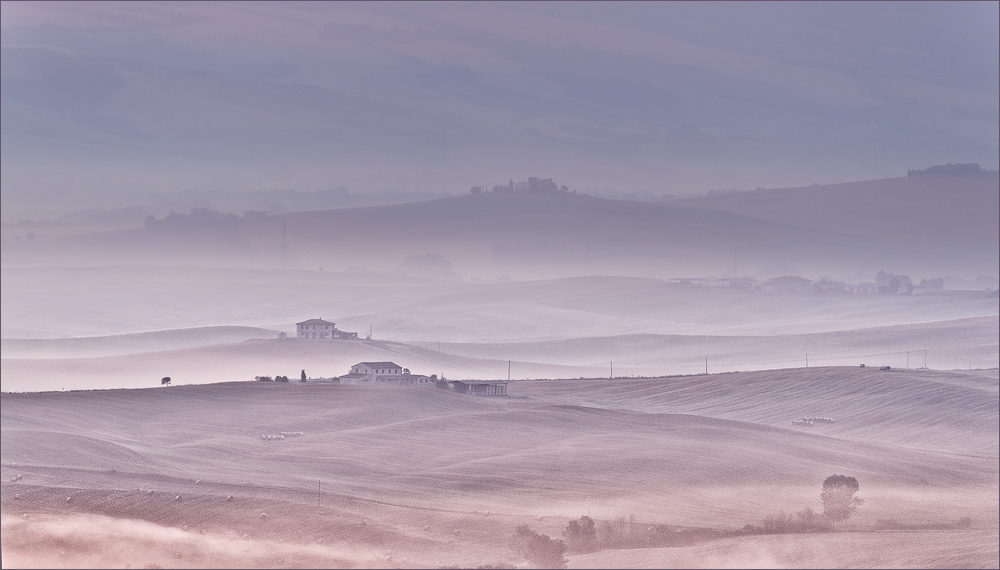 good morning tuscany | 05