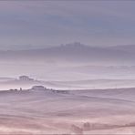 good morning tuscany | 05