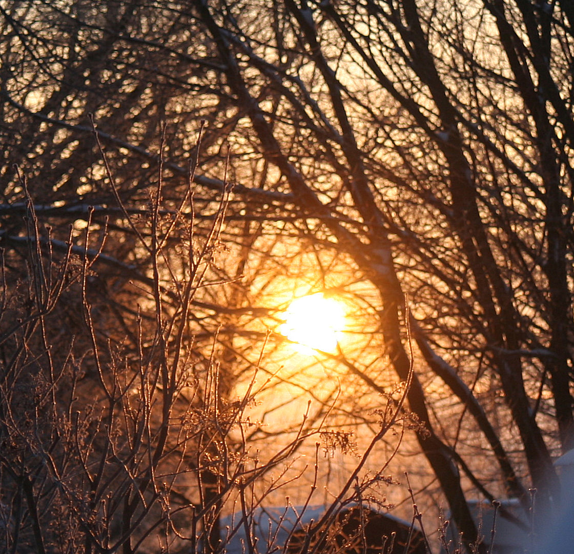 good morning winter photo & image | landscape, sunrise & sunset ...