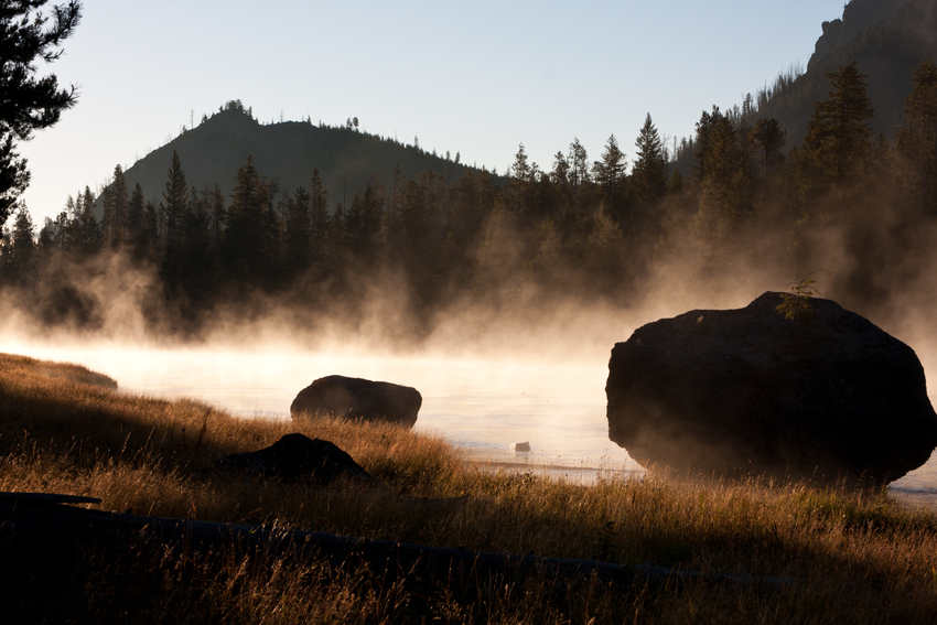 good morning Yellowstone II