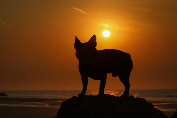 Good night - Back light