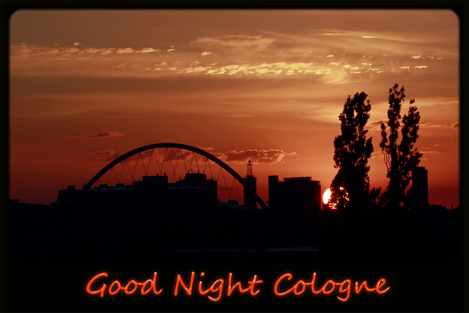 Good night cologne