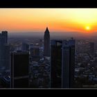 Good Night Frankfurt