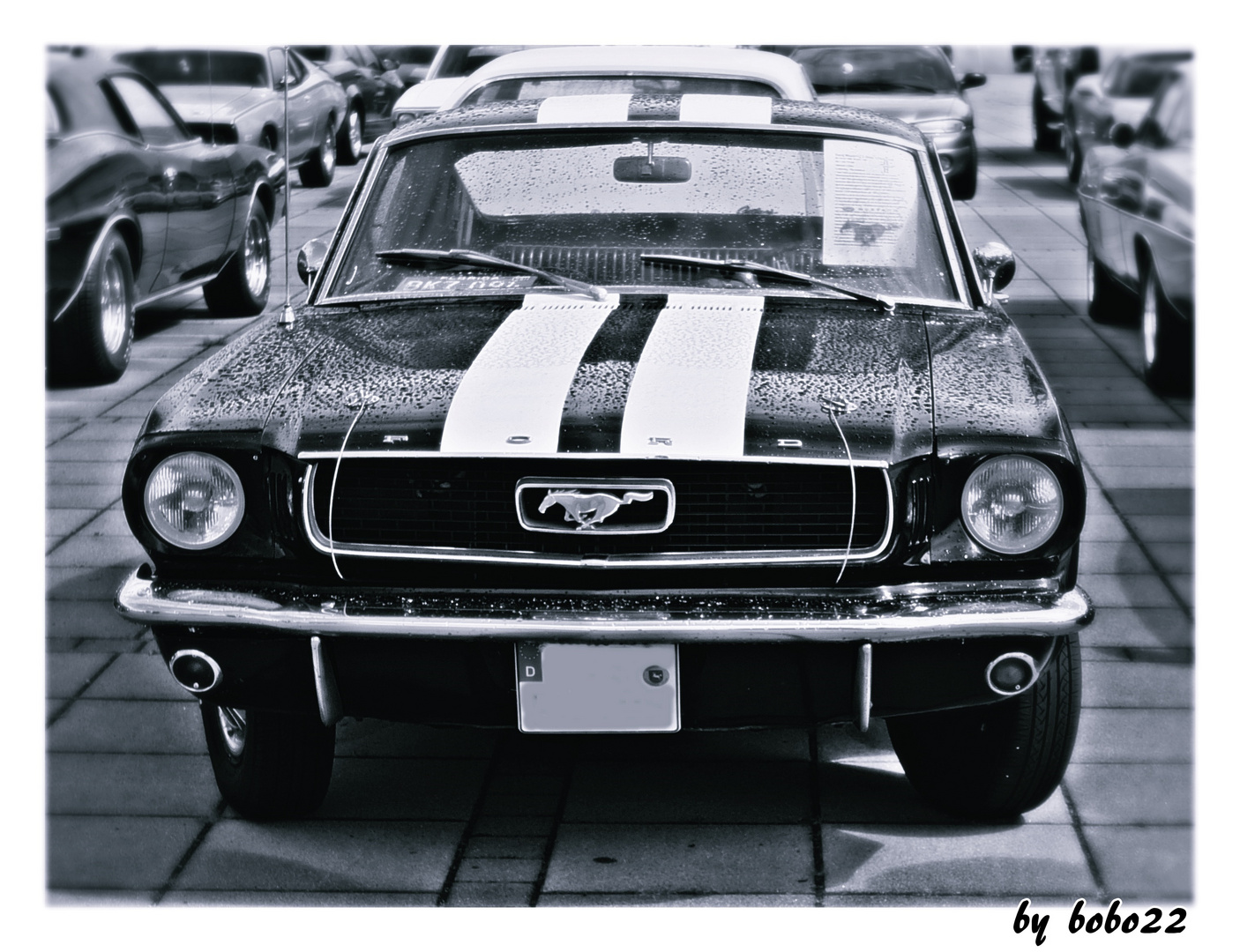 good old Mustang