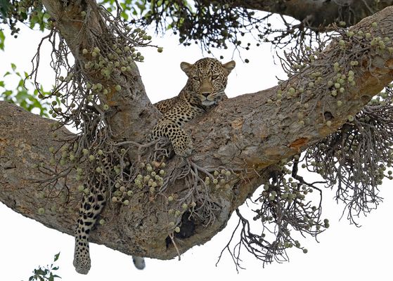 Good place to relaxe