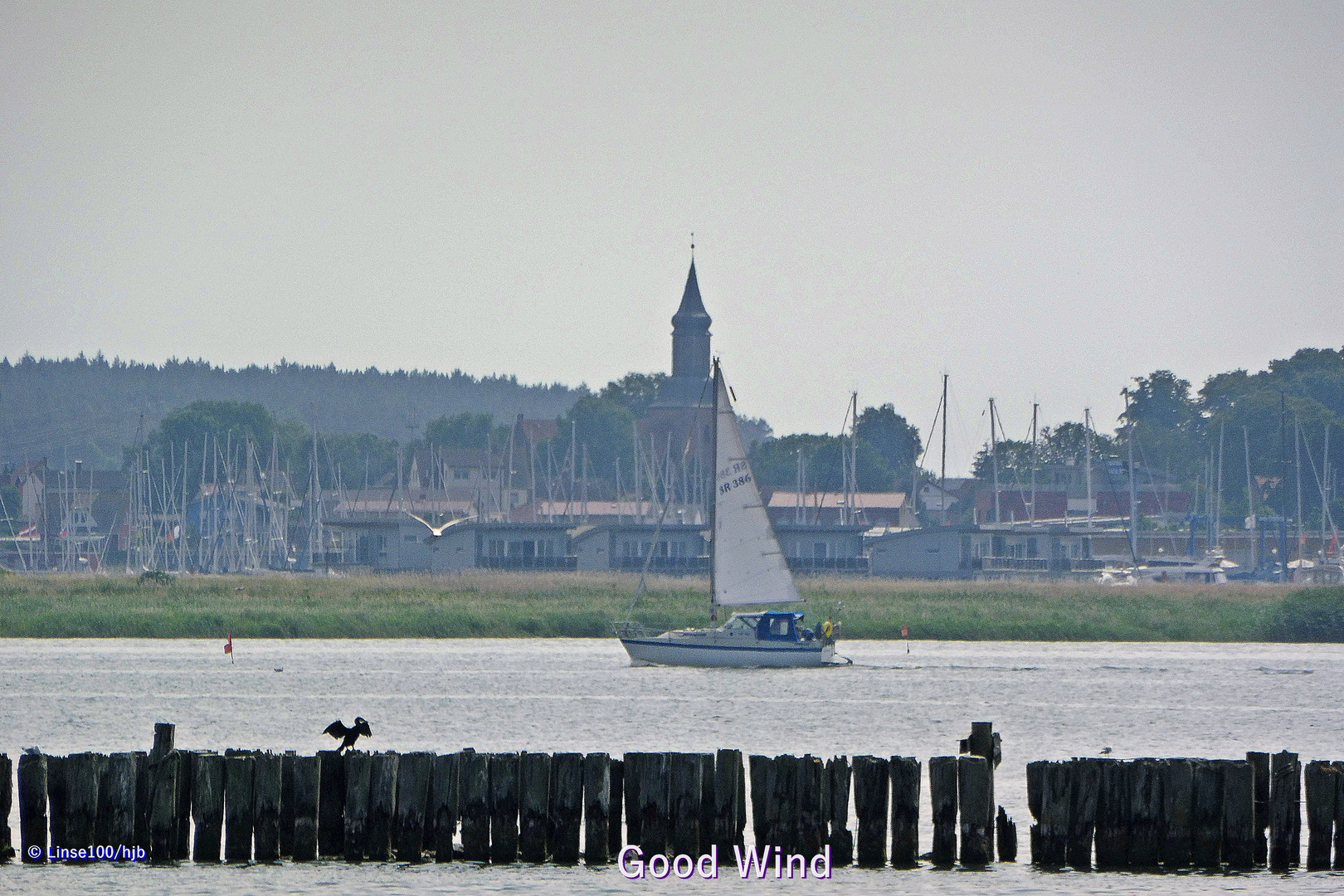 Good Wind auf der Peene zur Ausfahrt