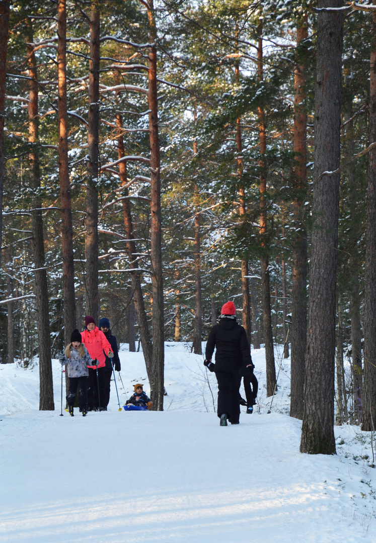 Good winter day