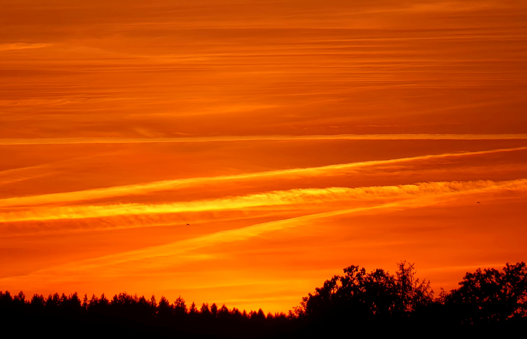 Goodbye Foto & Bild jahreszeiten, sonnenuntergänge, frühling Bilder