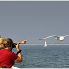 Goodbye, Helgoland....