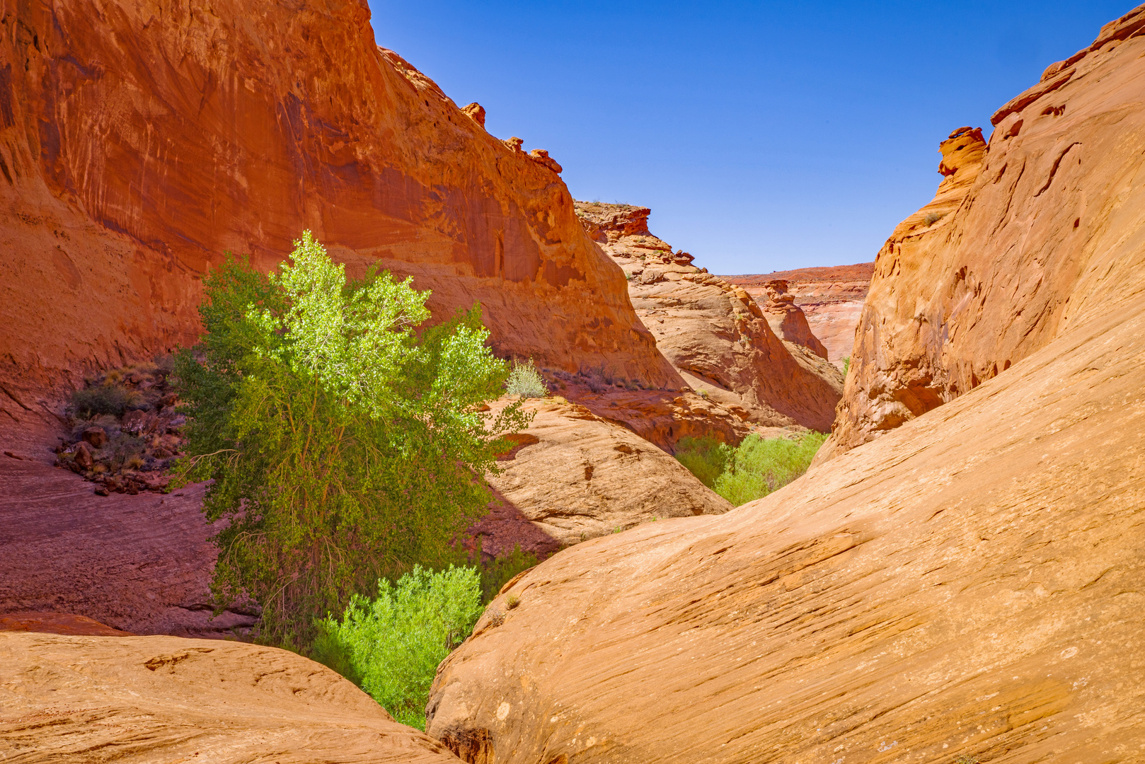 Goodbye Leprechaun-Canyon