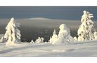 Lapland Winter 08