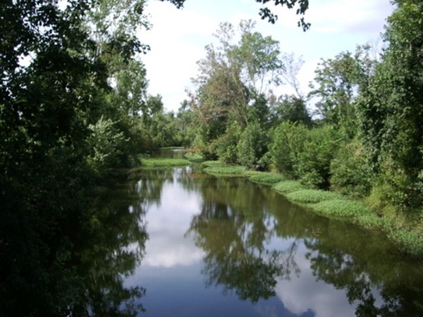 Goodwin Mill Pond: Hertford, NC