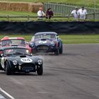 Goodwood - drei Cobras