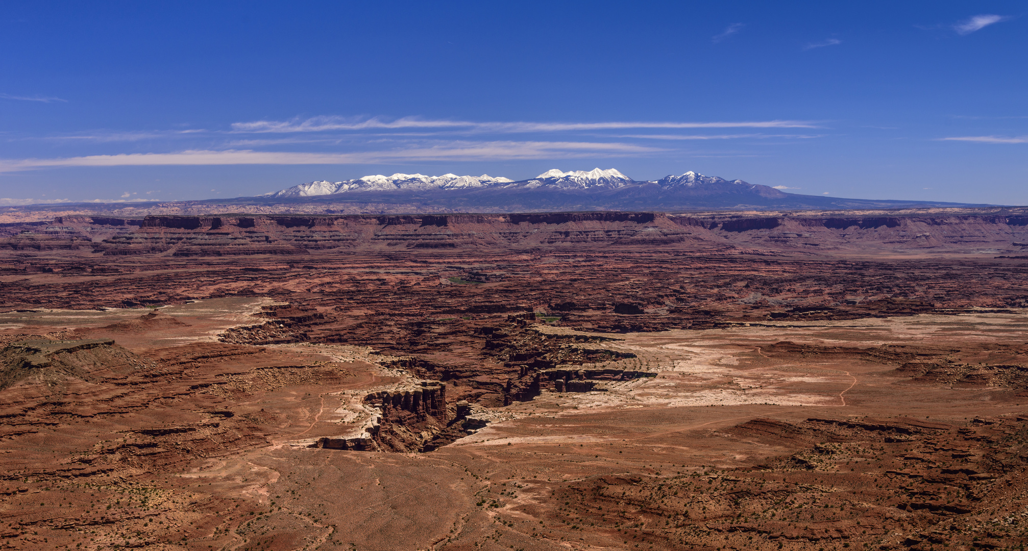 Gooseberry Canyon, Canyonlands, Utah, USA