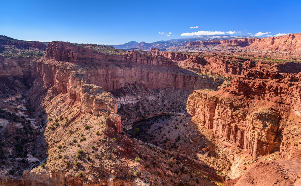 Goosenecks Overlook, Capitol Reef NP, Utah, USA