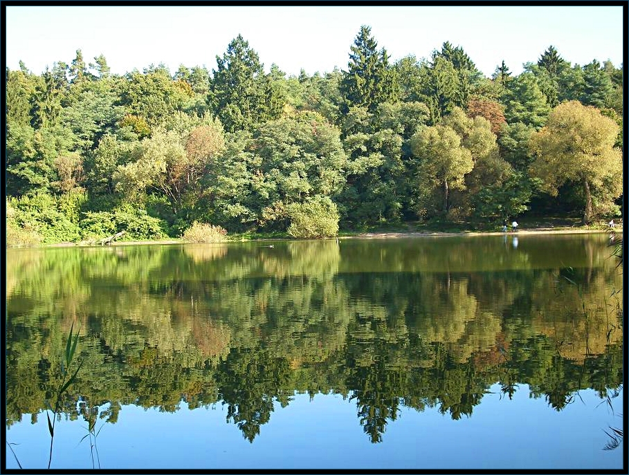 goplana lake in October