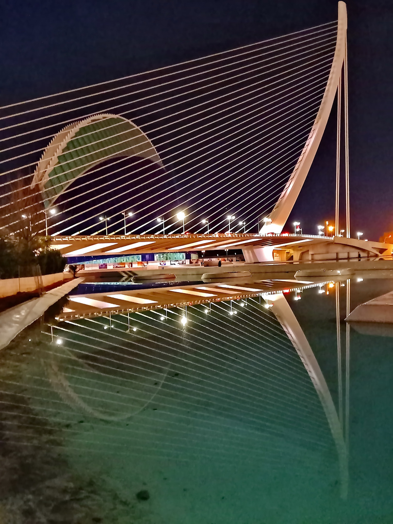 Àgora und Assut de L'Or Brücke, Valencia