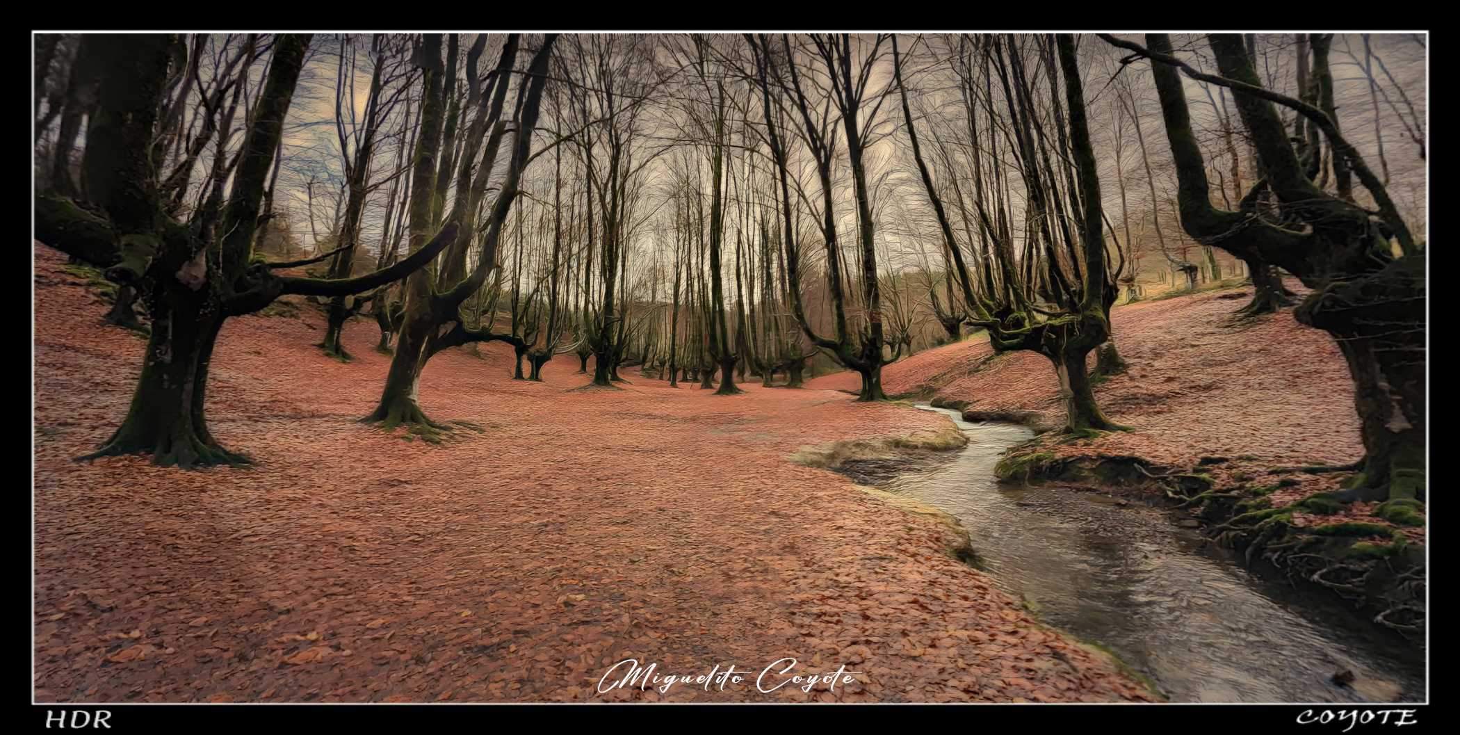 GORBEA HAYEDO OTZARRETA HDR