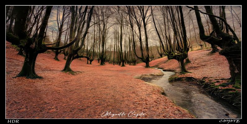 GORBEA HAYEDO OTZARRETA HDR