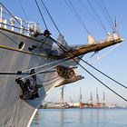 Gorch Fock 2