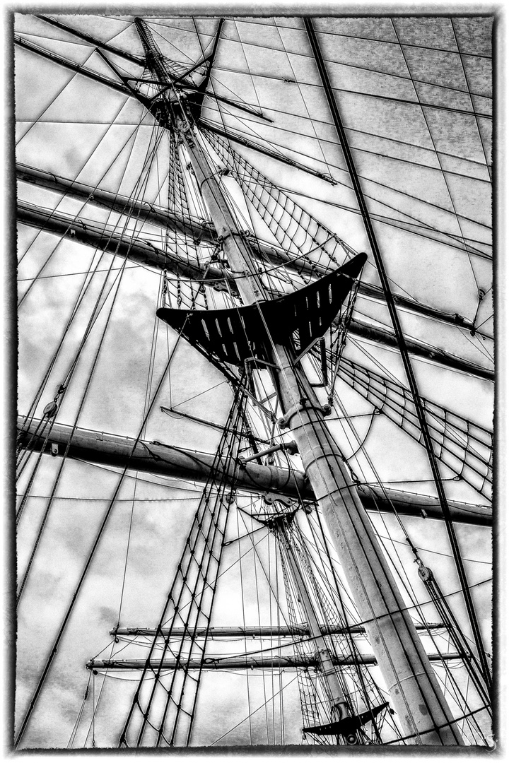 Gorch Fock (3)