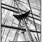 Gorch Fock (3)