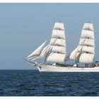 Gorch Fock (3)