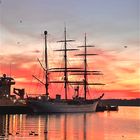 Gorch Fock