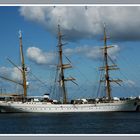 ^^--^~~Gorch Fock ~~^--^^