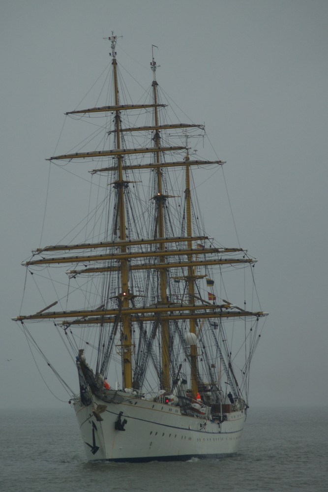 Gorch Fock auf der Jade