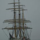 Gorch Fock auf der Jade