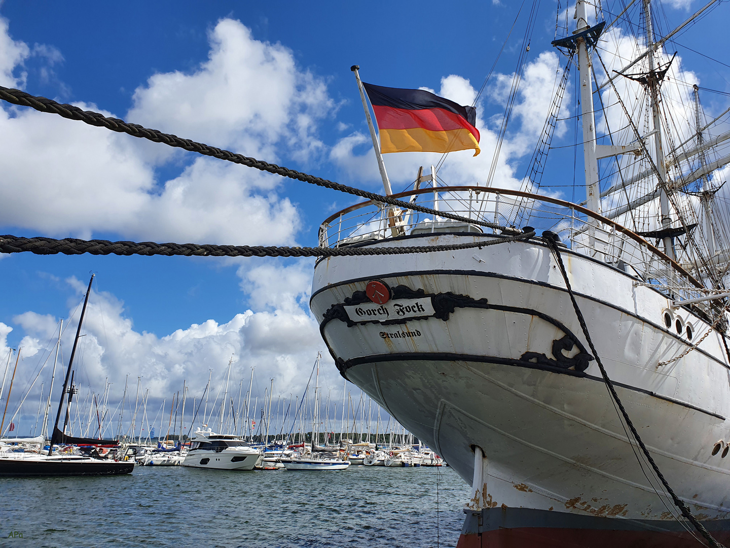 Gorch Fock...