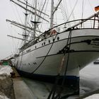 Gorch Fock