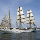 Gorch Fock heute bei der Sail Rostock