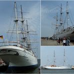 gorch fock I in stralsund . .