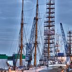 Gorch Fock im Dock