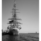 Gorch Fock in WHV