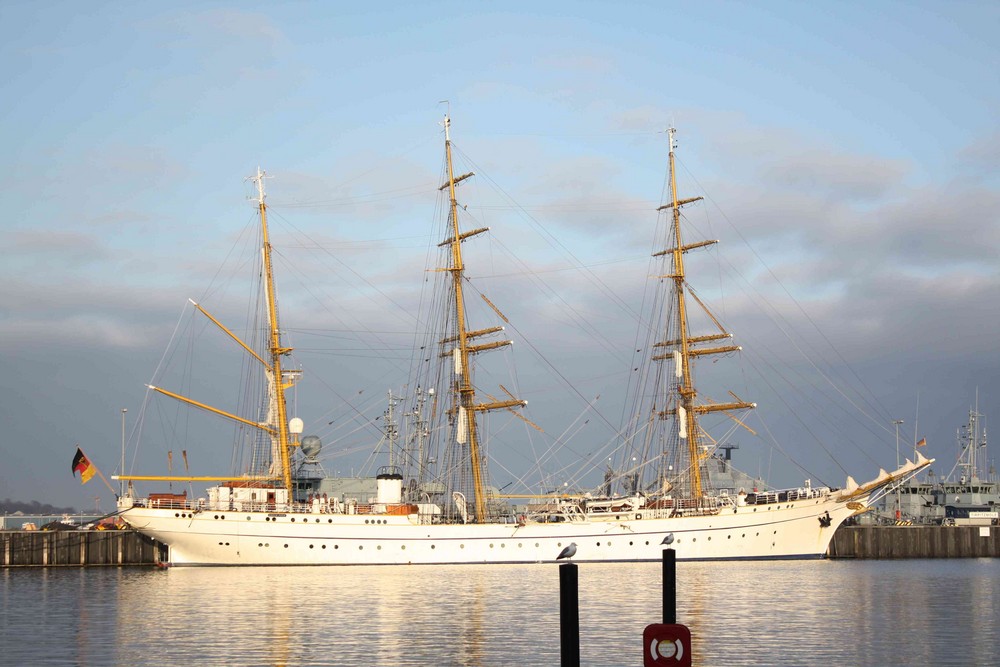 Gorch Fock mit Möwen