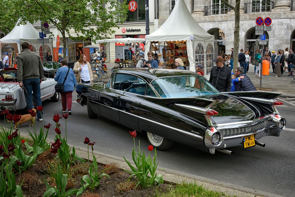 Gorden de Ville Cadillac