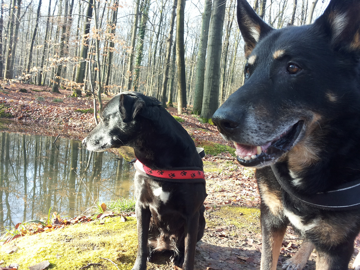 Gorden und Sally am Bombenloch