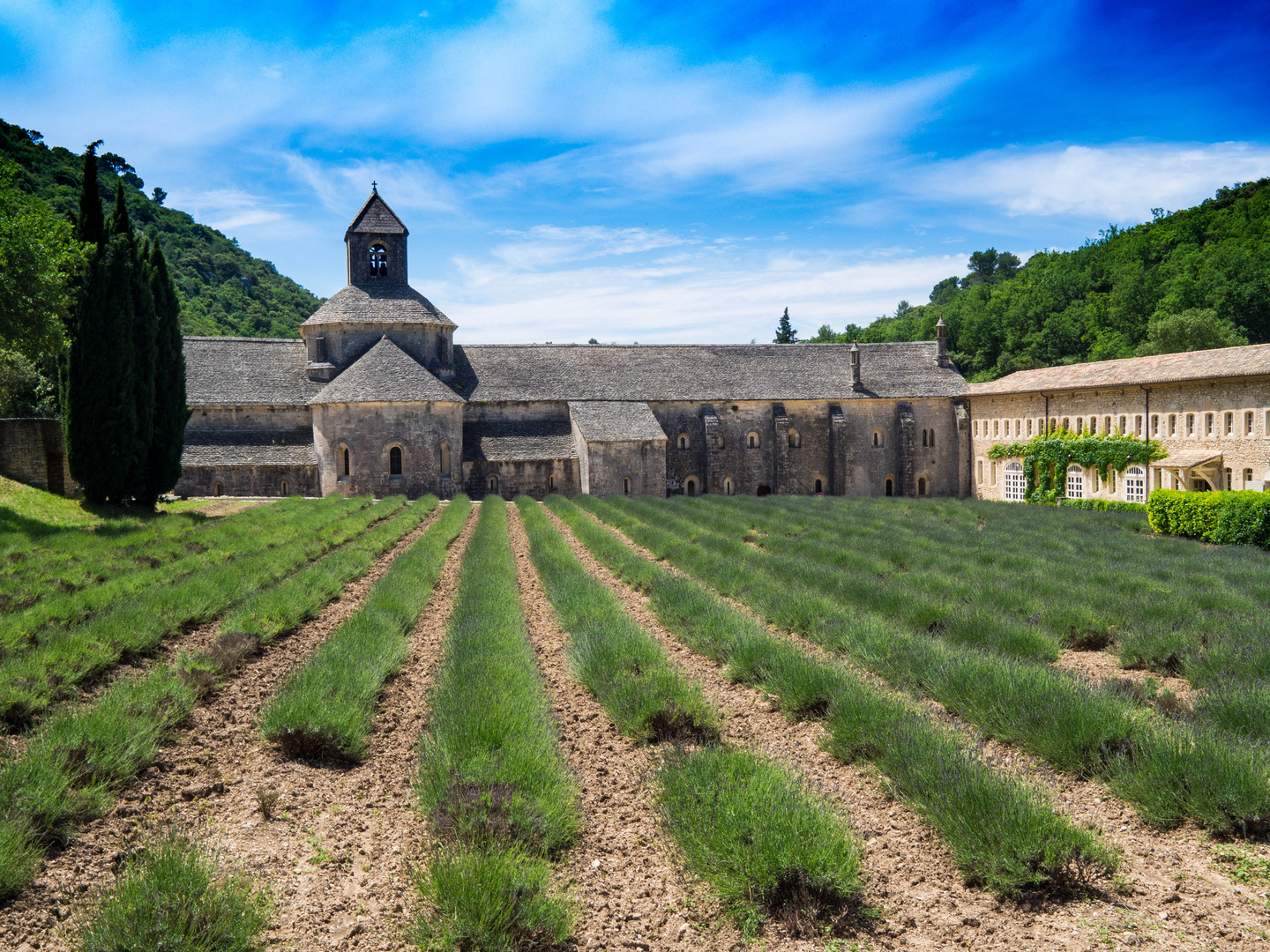 Gordes #3 - Sénanque