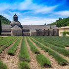 Gordes #3 - Sénanque