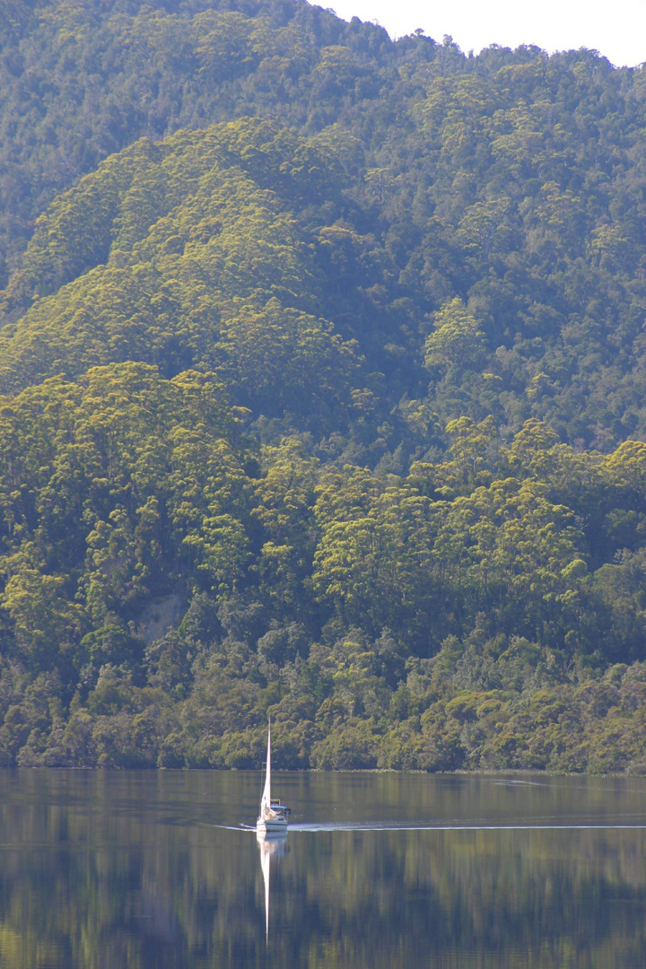 Gordon River Tasmanien