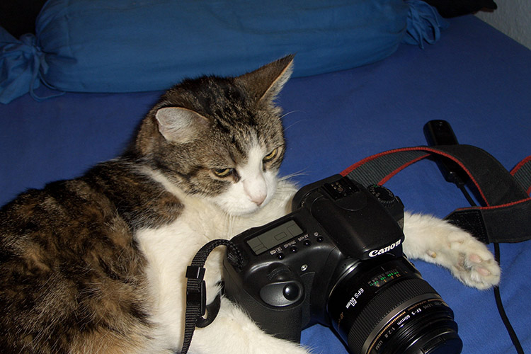 Gordy & Digitalcamera