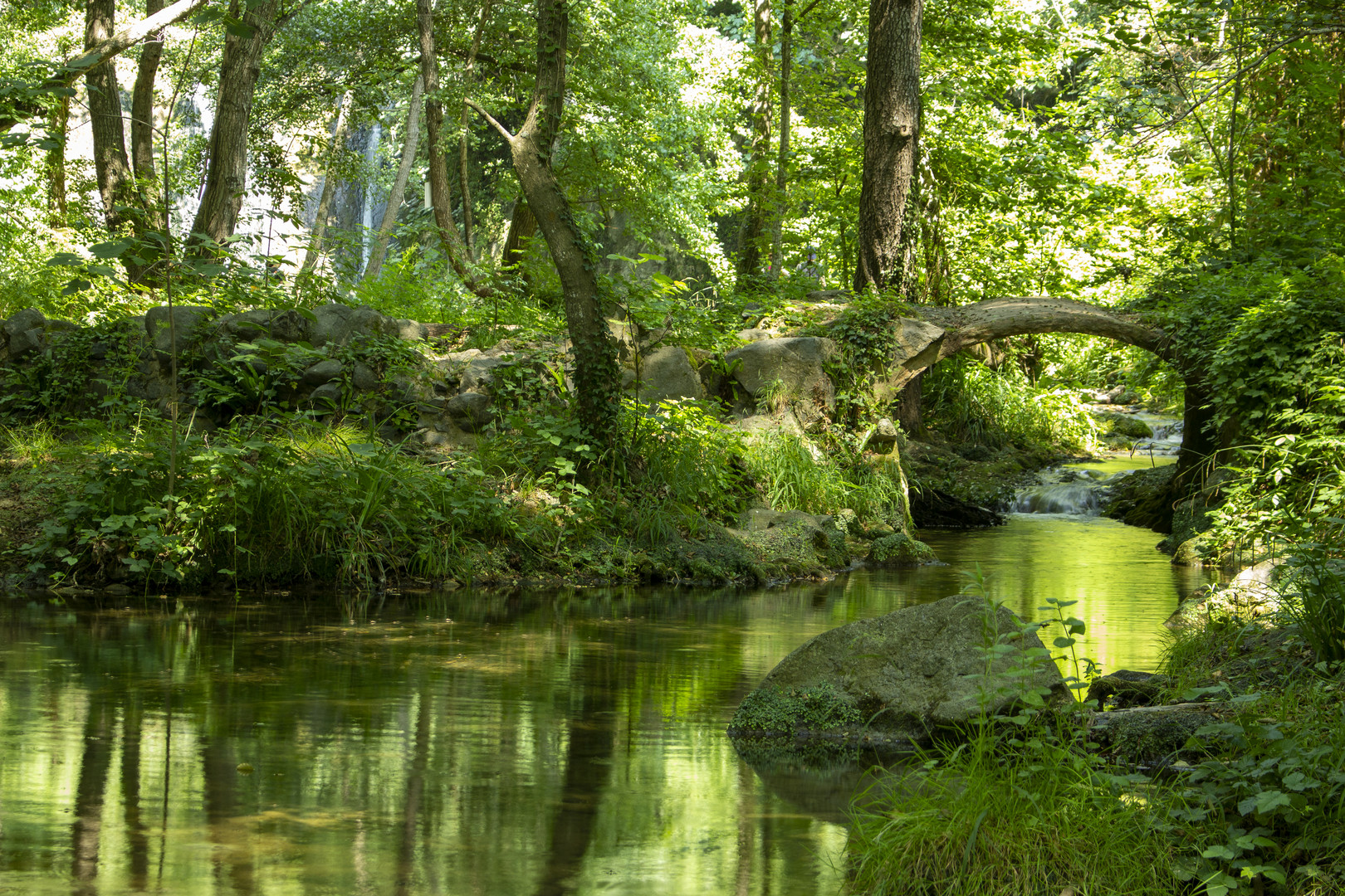 Gorg de la Plana - Rio Brugent - Parque Natural de la Garrocha - Gerona