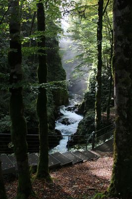 Gorge de la Languette