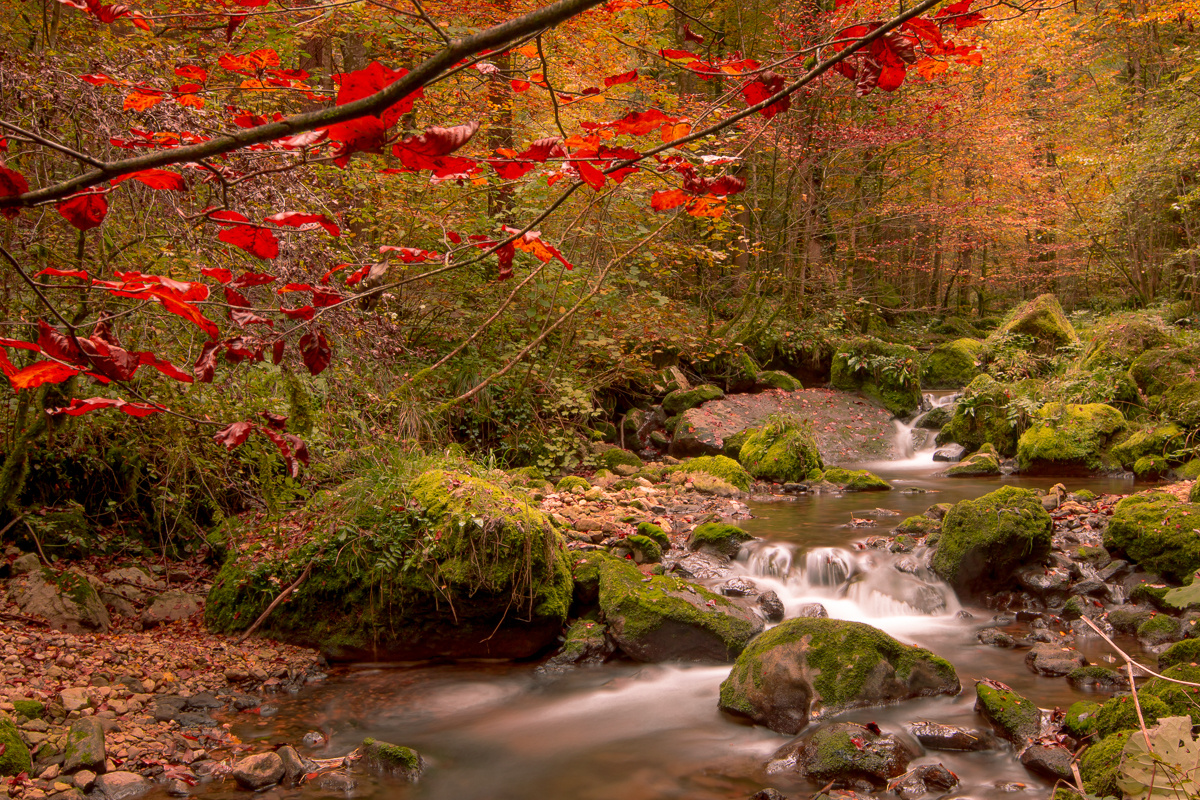 Gorge du Pichoux -2