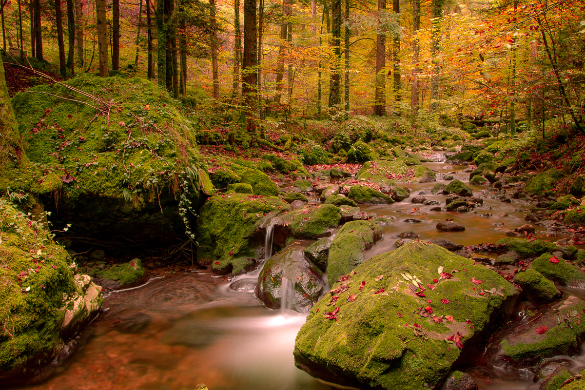 Gorge du Pichoux - 3